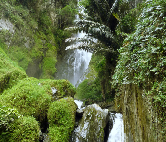 Sulewana-Wasserfall auf Sulawesi