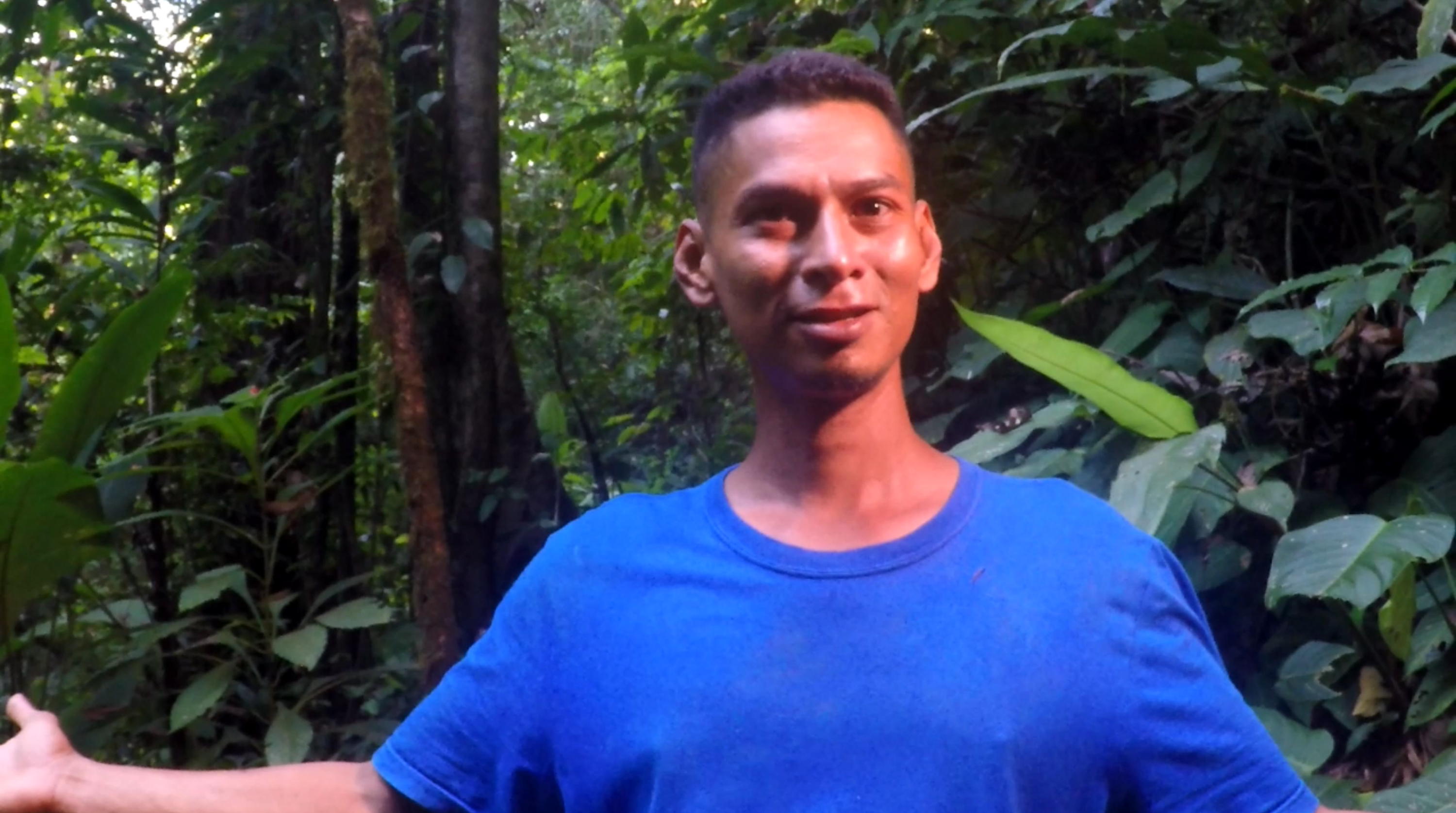 Dschungel Guide in Costa Rica