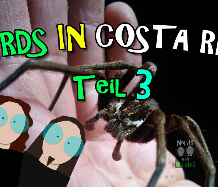 Nerds in Costa Rica
